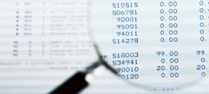 SEC Services – Reporting or Audits